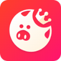 宝猪乐园app