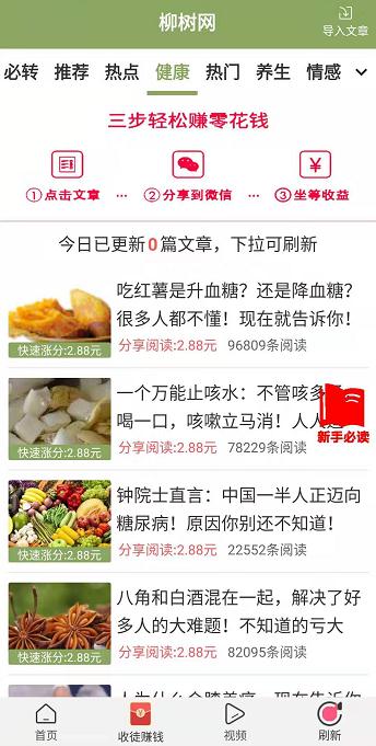 柳树网
