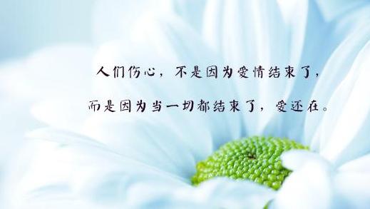 文章图片1021