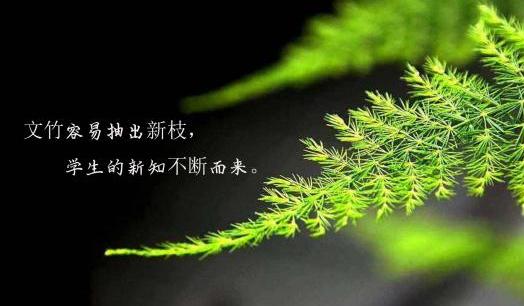 wenzhu