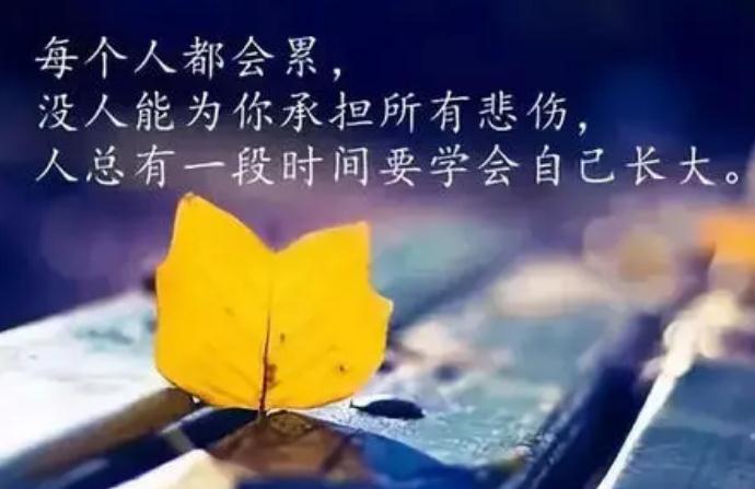 xuehuizd