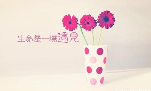 yujianxw