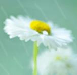 秋雨涵碧楼，叶璇风行程